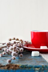 coffee in a red cup spring