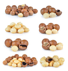 macadamia nuts on white background