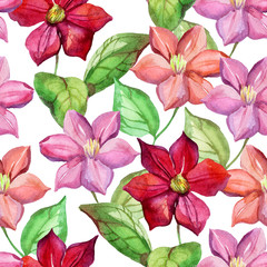 Watercolor clematis seamless pattern