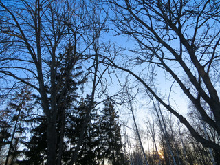 Winterscape in Kremenchyg