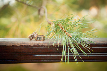 wedding rings on a wooden board spruce needles