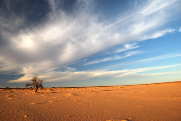 Fototapeta na wymiar Cloudy Desert Sky