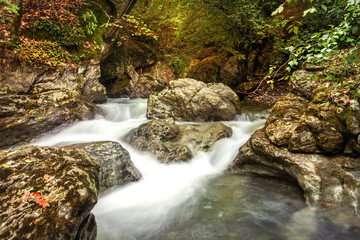 Landscape mountain river in the forest.