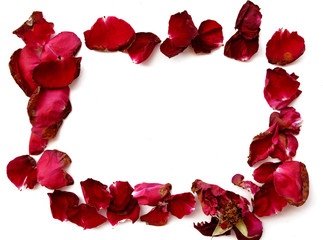 dried red rose petals frame on white background