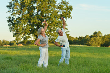 Naklejka na ściany i meble senior couple exercising in summer field