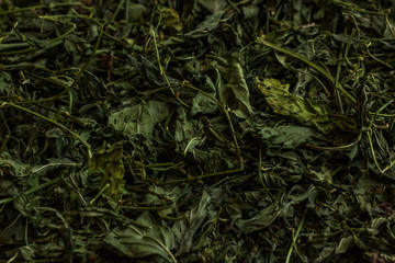 green Dried Mint texture