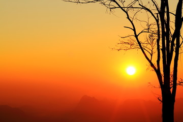 Sunrise and silhouette tree on beautiful colors sky at Phukradue