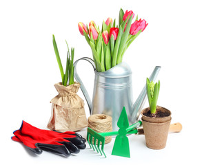 Tulip Garden Flowers Tools Isolated white background
