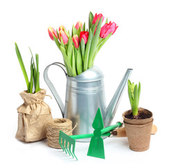 Tulip Garden Flowers Tools Isolated white background
