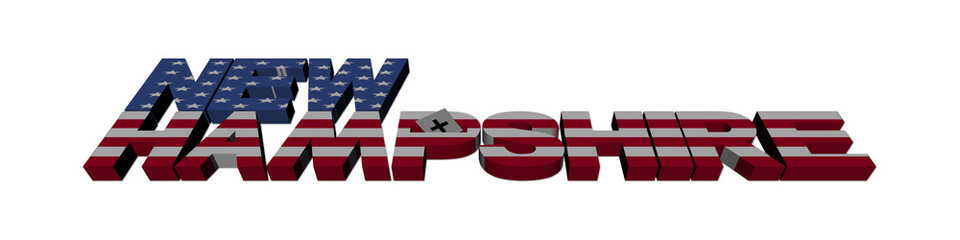 New Hampshire flag text with vote illustration