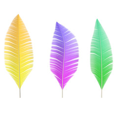 A collection of colored feathers of birds