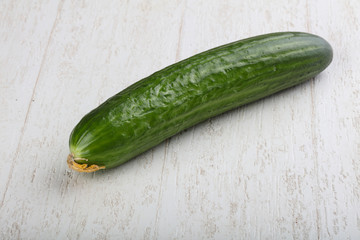 Cucumber