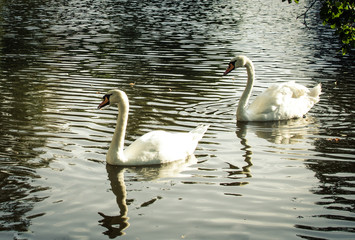 Schlosspark