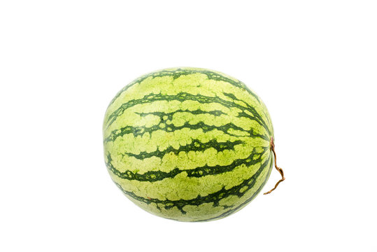 watermelon on white.