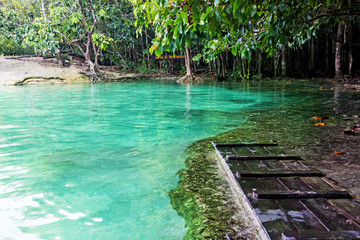 Emerald Pool. Krabi, Thailand