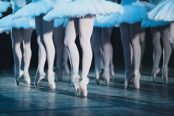 ballet swan lake. ballet statement. ballerinas in the movement. © melnikofd