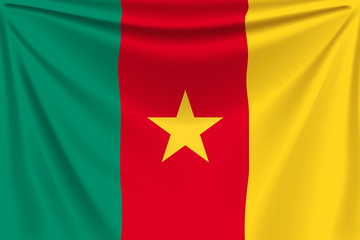 back flag cameroon