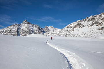 ciaspolata in neve fresca