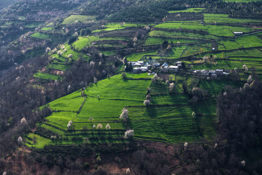 Campos y aldeas en el paisaje de Ancares
