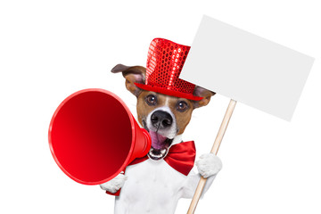 dog sale megaphone