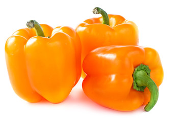 Capsicum annuum cultivars
