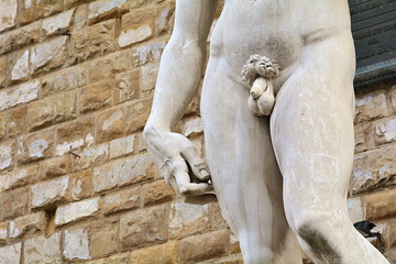 The most famous statue of Florence, David of Michelangelo, Italy.