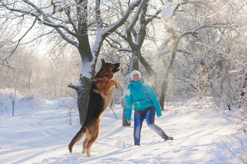 Girl trains her dog German Shepherd