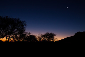 Fototapeta na wymiar Sunset over Namib Desert with Tree.