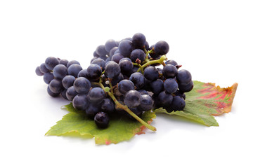 Raisins noirs