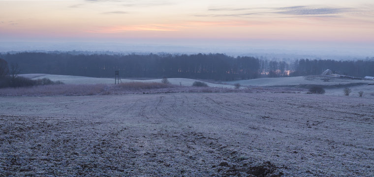Pień wyrzucony na morską  plażę