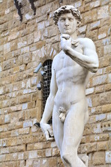 Obraz premium The most famous statue of Florence, David of Michelangelo, Italy.