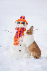 Little rabbit with funny dressed snowman