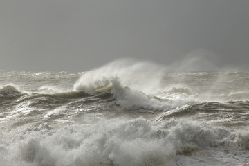 Stormy sea waves