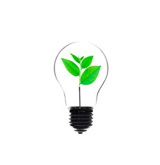 Light bulb with green plant