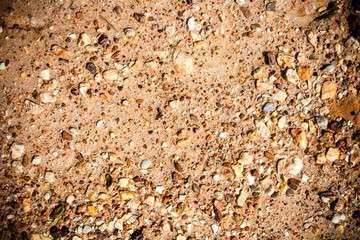 texture of cracked earth in arid location