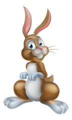 Cartoon Easter Bunny Rabbit