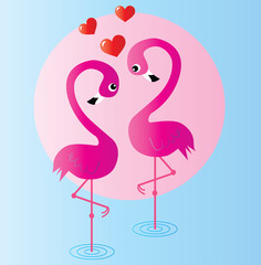 two flamingo birds in love