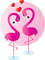 two flamingo birds in love