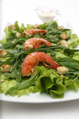 shrimp salad on a white plate
