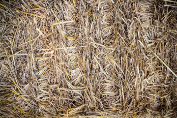 haystack texture