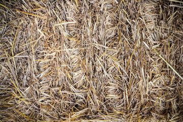 haystack texture