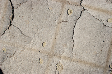 Obraz premium textura de madera vieja con grietas