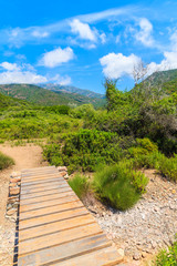 Fototapeta na wymiar Wooden footbridge on mountain trail to Girolata bay, Corsica island, France