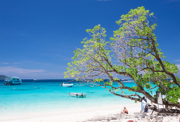 Beautiful tropical beach