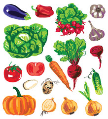 colored vegetables on white background