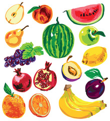 fruit color on white background