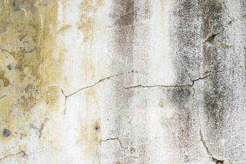 Obraz premium old wall texture 