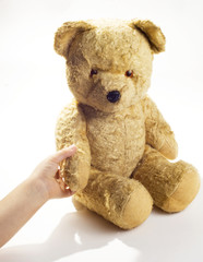 teddy bear child hand