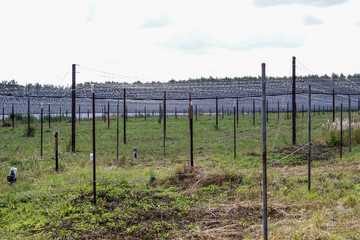 Large scanning antenna BSA. Pushchino Radio Astronomy Observatory. The radio telescope of the meridian type filled aperture
