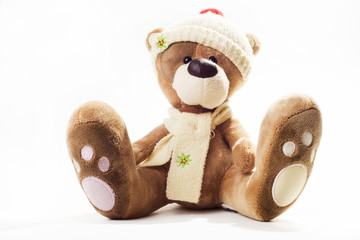 teddy with scarf and cap